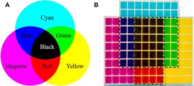 An extensible driving model for multiple grayscales colorful electrowetting displays